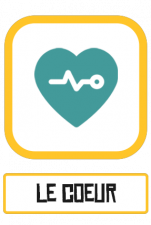 coeur